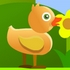 Duck Hop