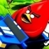 Poultry ACE Downhill