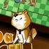 Shiba Rescue Dogs and Puppies